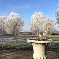 Le parc en hiver