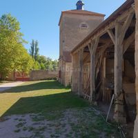 La cour