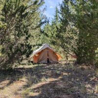 Camping sur une plantation mixte du Domaine.