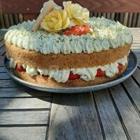 Fraisier à la pistache (fraises du jardin)