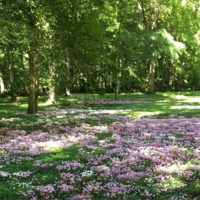 Parc