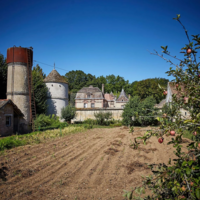 Potager