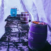 Caméléon Igloo Village La Rosière