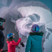 Caméléon Igloo Village La Rosière