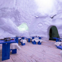 Caméléon Igloo Village Thorens