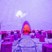Caméléon Igloo Village Thorens