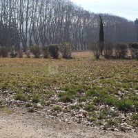 La Bergerie du Parc de Florans