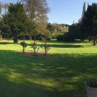 Jardin
