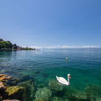 VVF Villages Les Rives du Léman