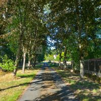 Allée