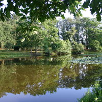 Étang du Domaine