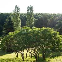 Château du Parc Saint-Lambert