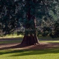 Château du Parc Saint-Lambert