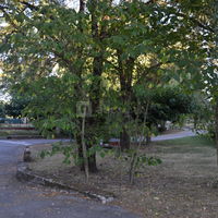Chapelle du Domaine de l'Hermitage
