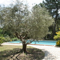 Espace vin d'honneur