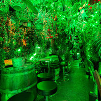 Amazonas Bar