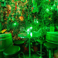 Amazonas Bar