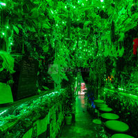 Amazonas Bar