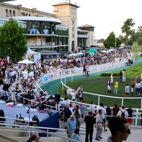 Hippodrome de Chantilly