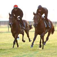Hippodrome de Chantilly