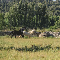 La Grange de Bize-Minervois