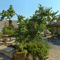 La Grange de Bize-Minervois