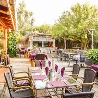 La terrasse