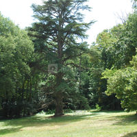 Château Bel Aspect