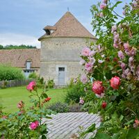 Le pigeonnier et les roses