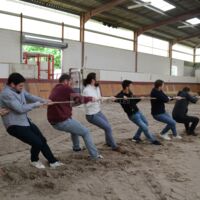 Animations sportives