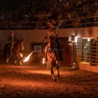 Spectacle équestre privé