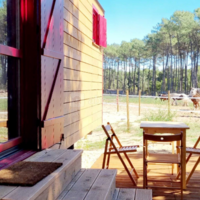 Roulottes présentes sur le domaine