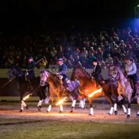 Spectacle équestre privé