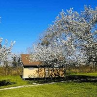 La Borde Ecolodge