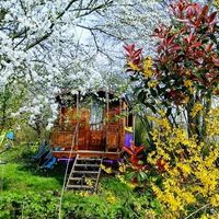 La Borde Ecolodge