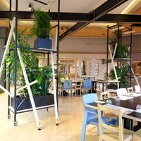 Décoration végétale du restaurant