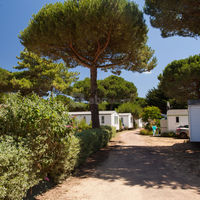 Camping Le Suroit