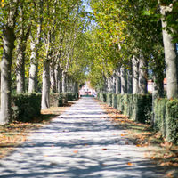 Domaine de Balestat