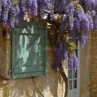 Maison pierres