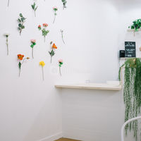 Comptoir Sauvage
