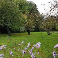 Villa Varentia