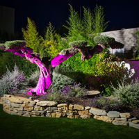 Les jardins de nuit