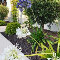Les jardins
