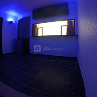 Kino Exil Guin