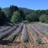 Château de Peyrolles