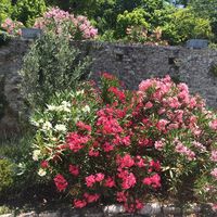Château de Peyrolles