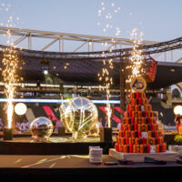 Matmut Stadium - Terrain