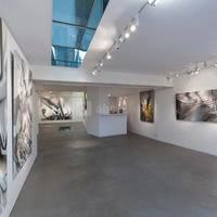 Galerie Bailly