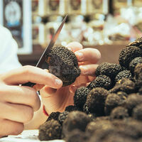 Truffes Folies