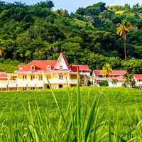 Domaine Saint Aubin